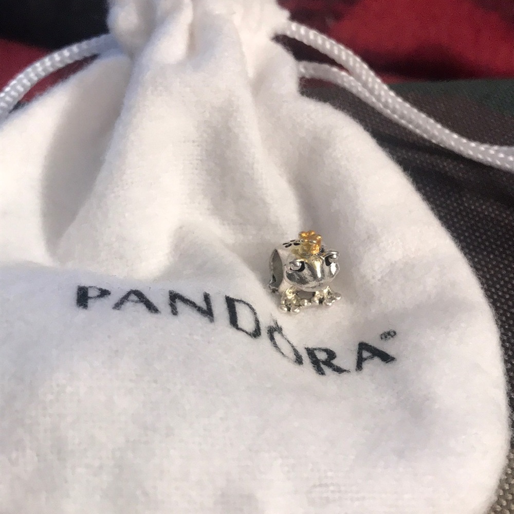 Frog prince charm